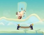 Polar boar online