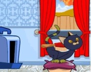 Purina cat show online humor játék